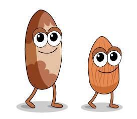 Nuts