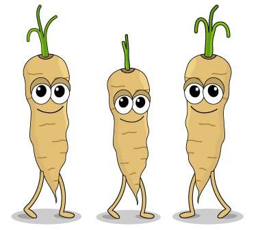 Parsnips